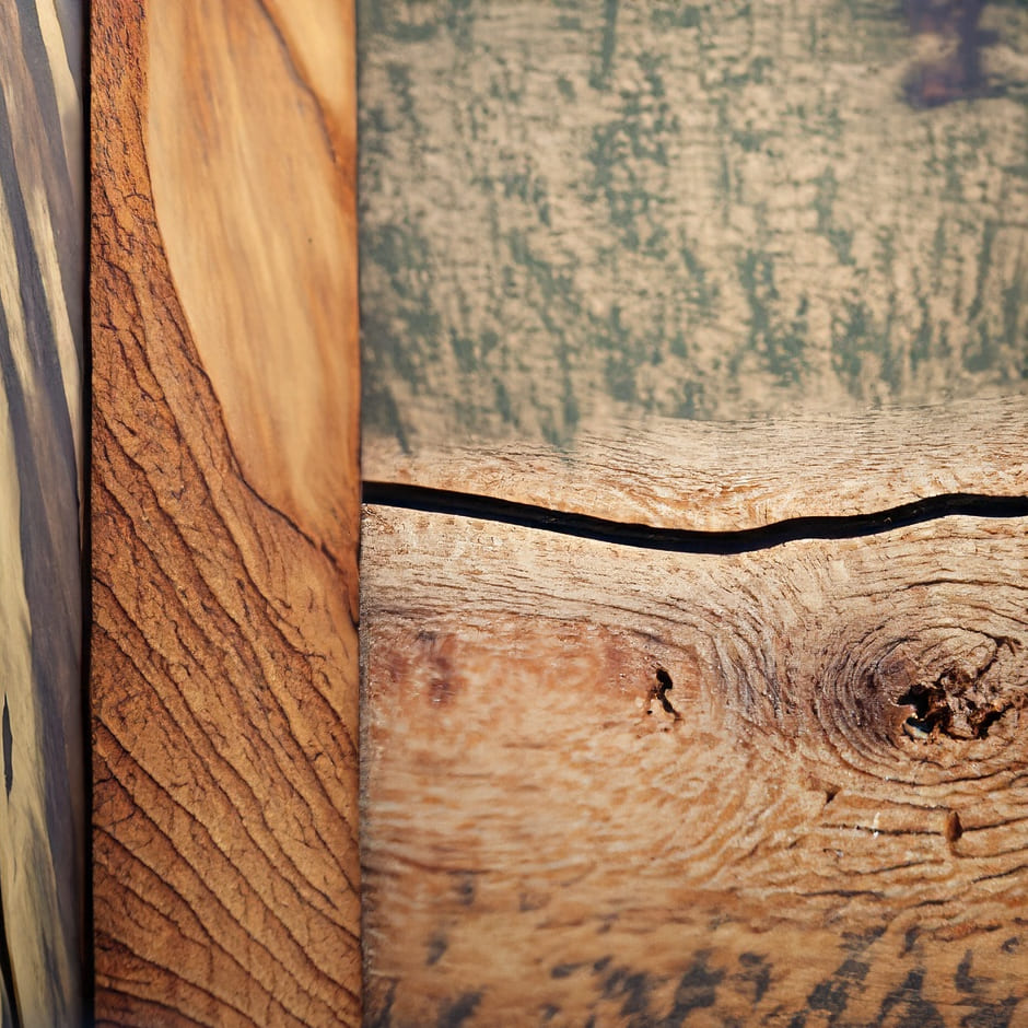 木材の特徴 成長過程と驚くべき性質