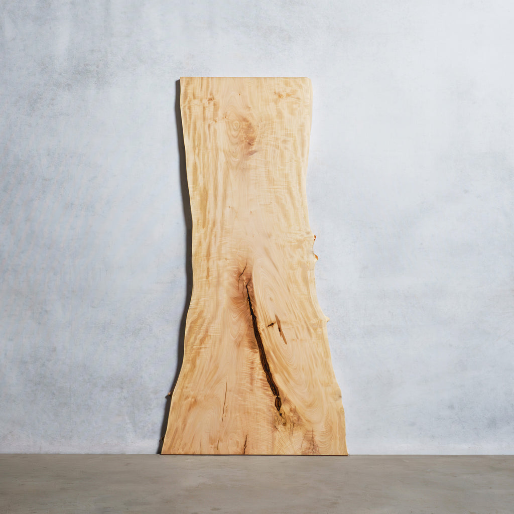 一枚板　切り株　ナチュラルウッド　特大43cm 樹齢約80年 ハンドメイドC 一枚板 トチ 40×645~735×1505mm — 清水材木店